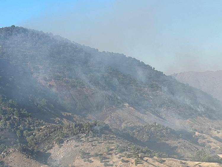 Adıyaman'daki yangınlarda 14 hektar alan zarar gördü 8